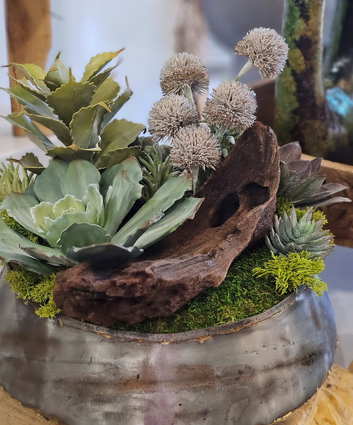 Succulents, Allium and Wood Bowl  FH:  13"