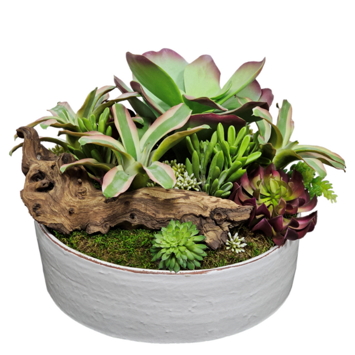 Kalanchoe and Mixed Succulents with Wood Fragment in Ceramic  FH: 16"