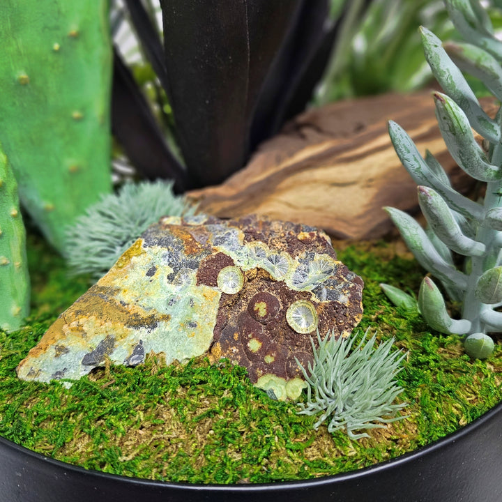 Speciman Wavelite Stone, Eggplant Agave, Pear Cactus with Mixed Succulents in Round Footed Metal Container. FH:30"H