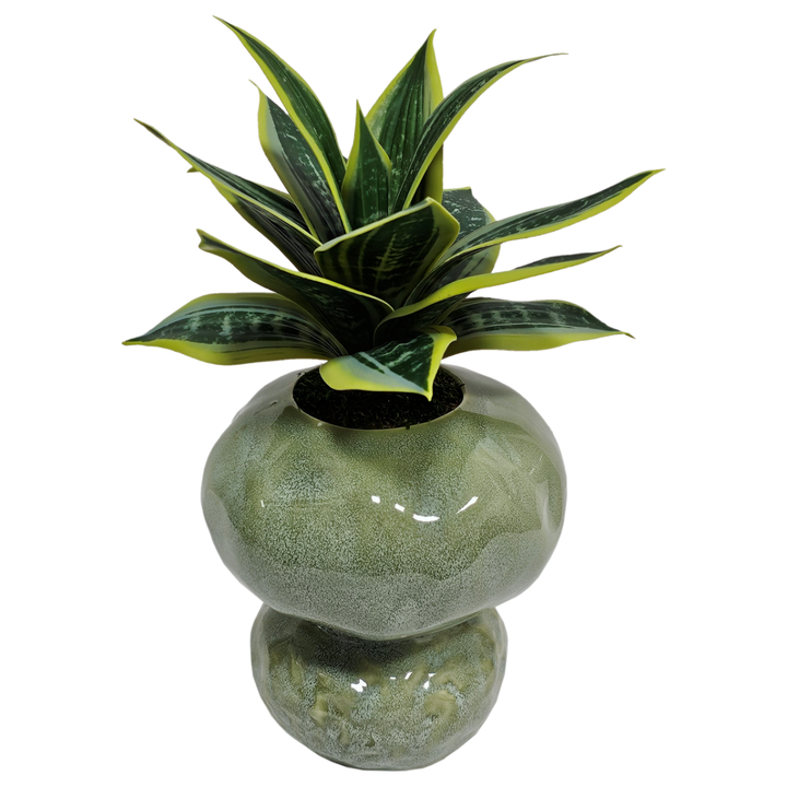 Mini Sansevieria in Ceramic Vase.  12"H