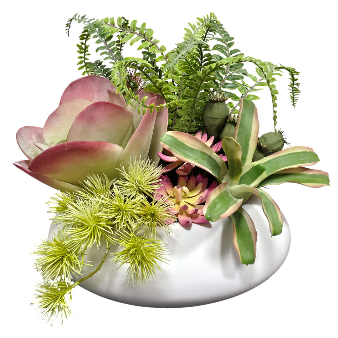 Mixed Succulents, Ferns and Lotus Pods in Bowl.  FH: 12"