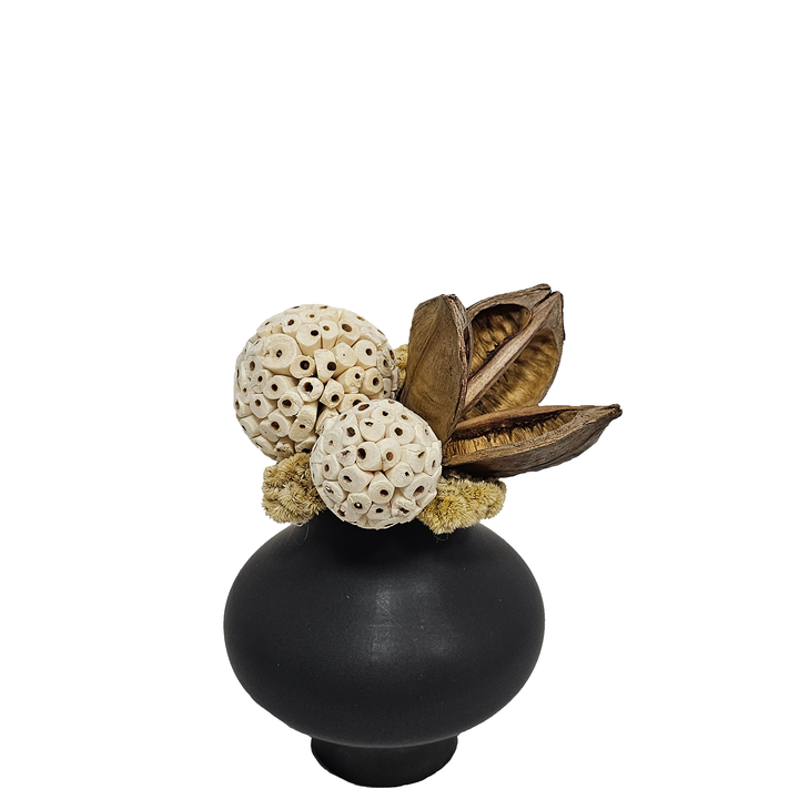 Sora Pod, Spheres and Coxcomb in Ceramic Vase. 9.5"H