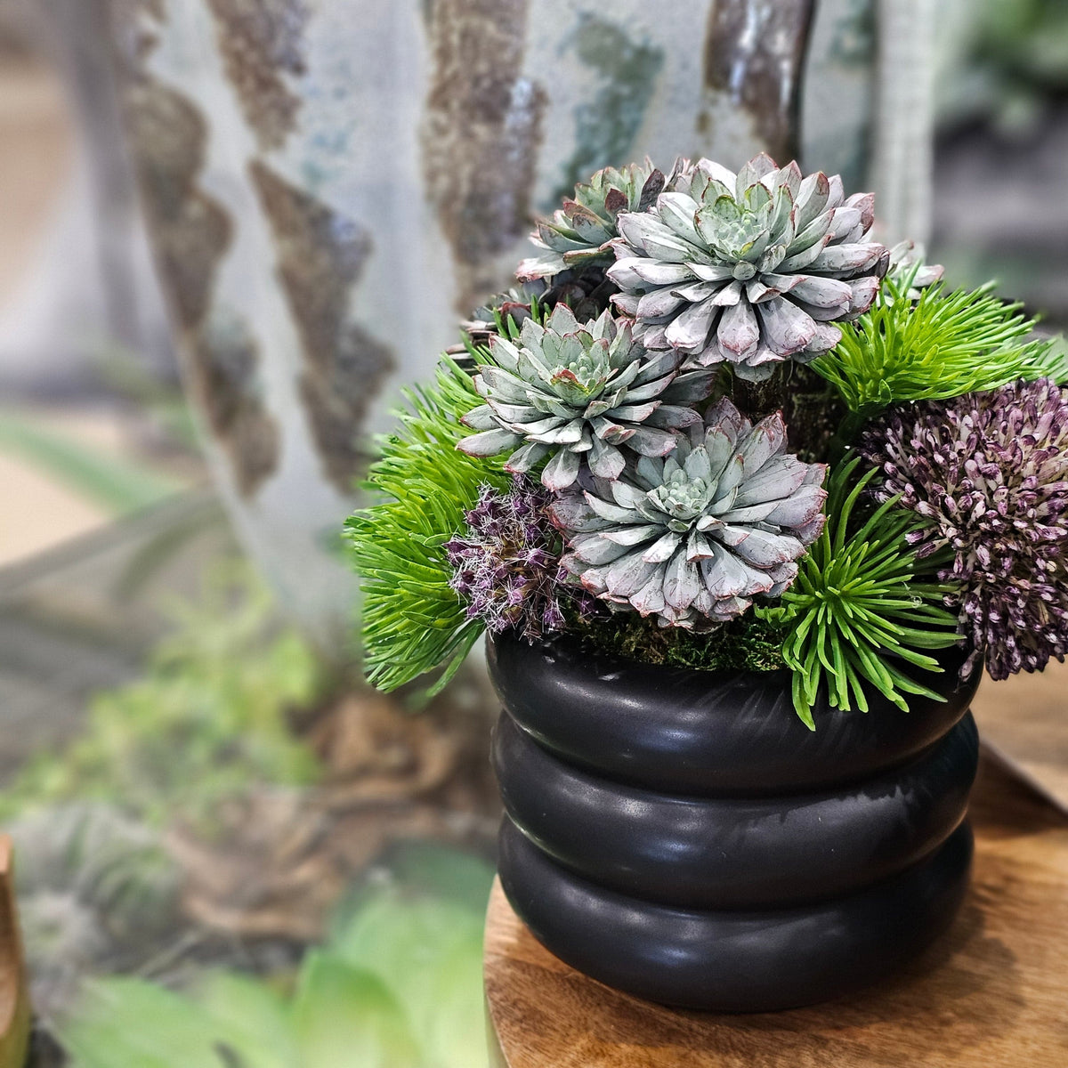 Allium with Succulents and Grass in Black Ceramic. FH: 7