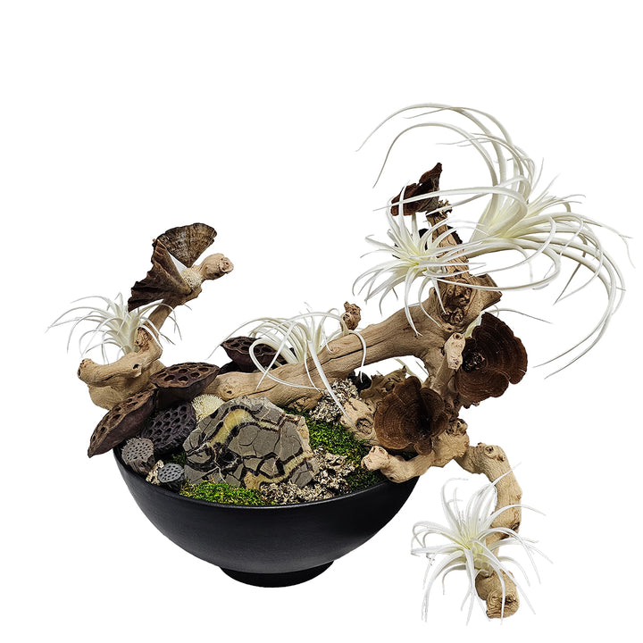 Septarian Specimen, Grapewood, Dried Elements and White Tillandsia in Black Ceramic Bowl  24"H