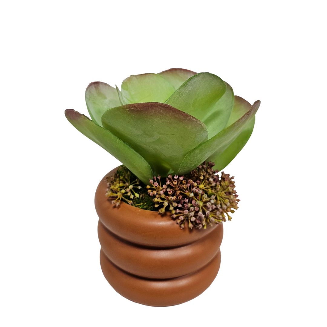 Kalanchoe with Sedum in Terra Cotta Ceramic 10"H