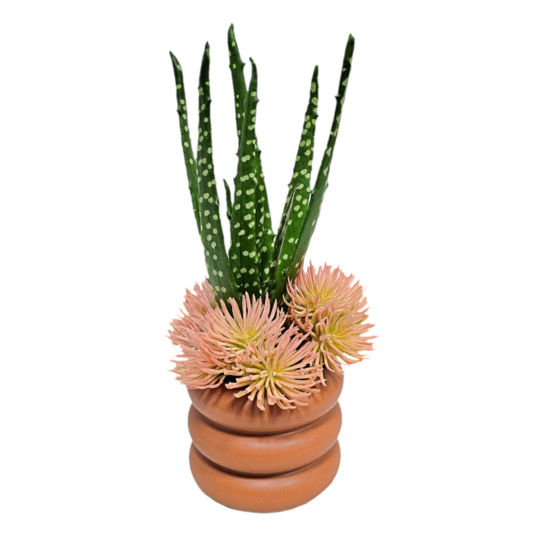 Aloe with Peach Succulents in Terra Cotta Ceramic 12"H