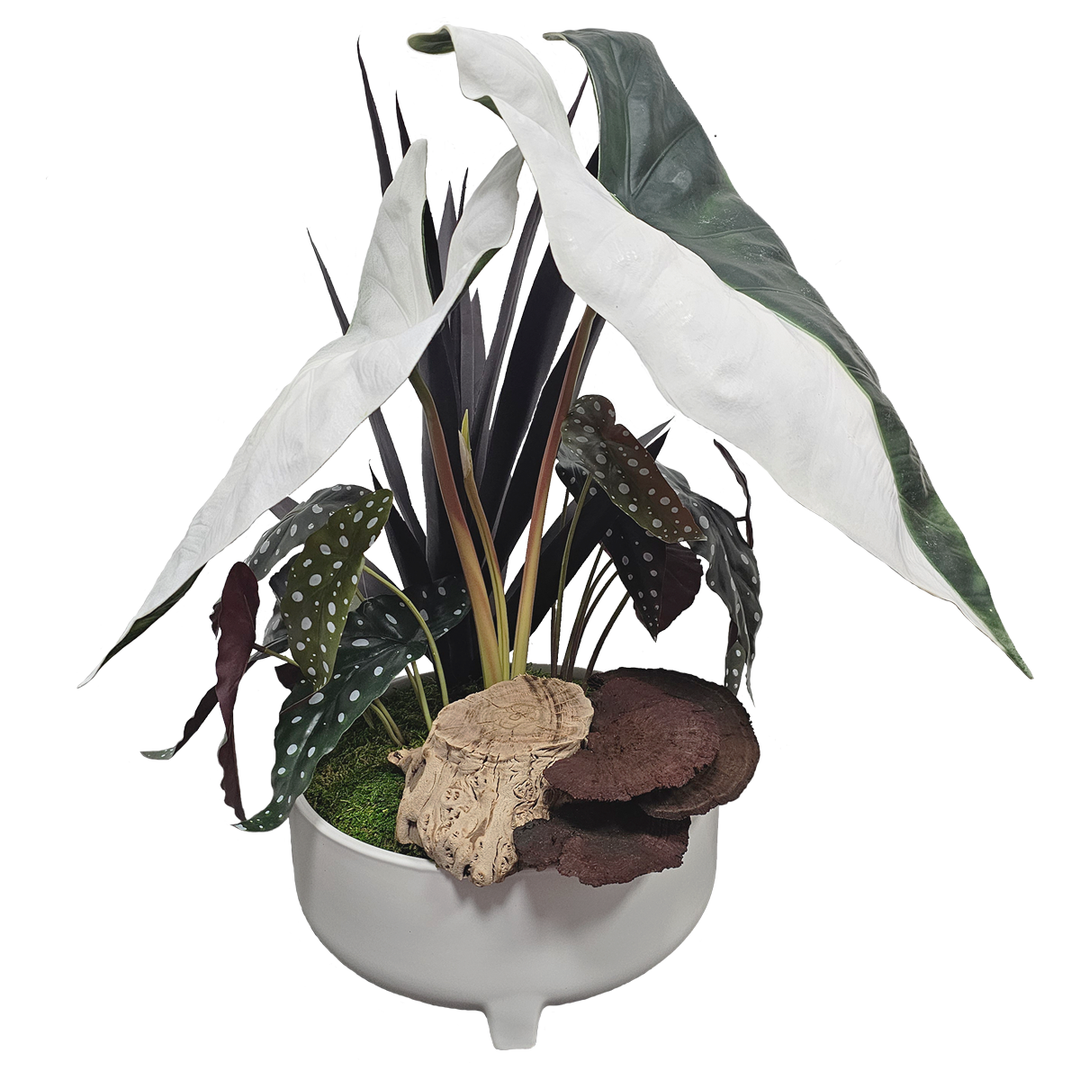 Alocasia Leaves with Trout Begonia, Wood and Mushrooms in Round Ceramic 24"H