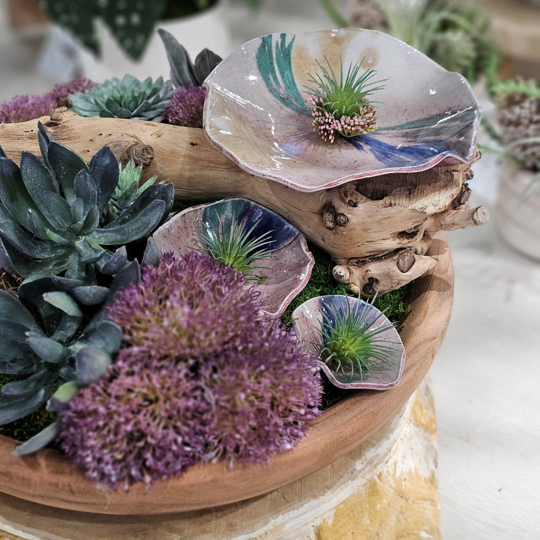 Hand Crafted Ceramic Discs with Grapewood and Succulents in Low Wood Bowl- Limited Edition 8"H