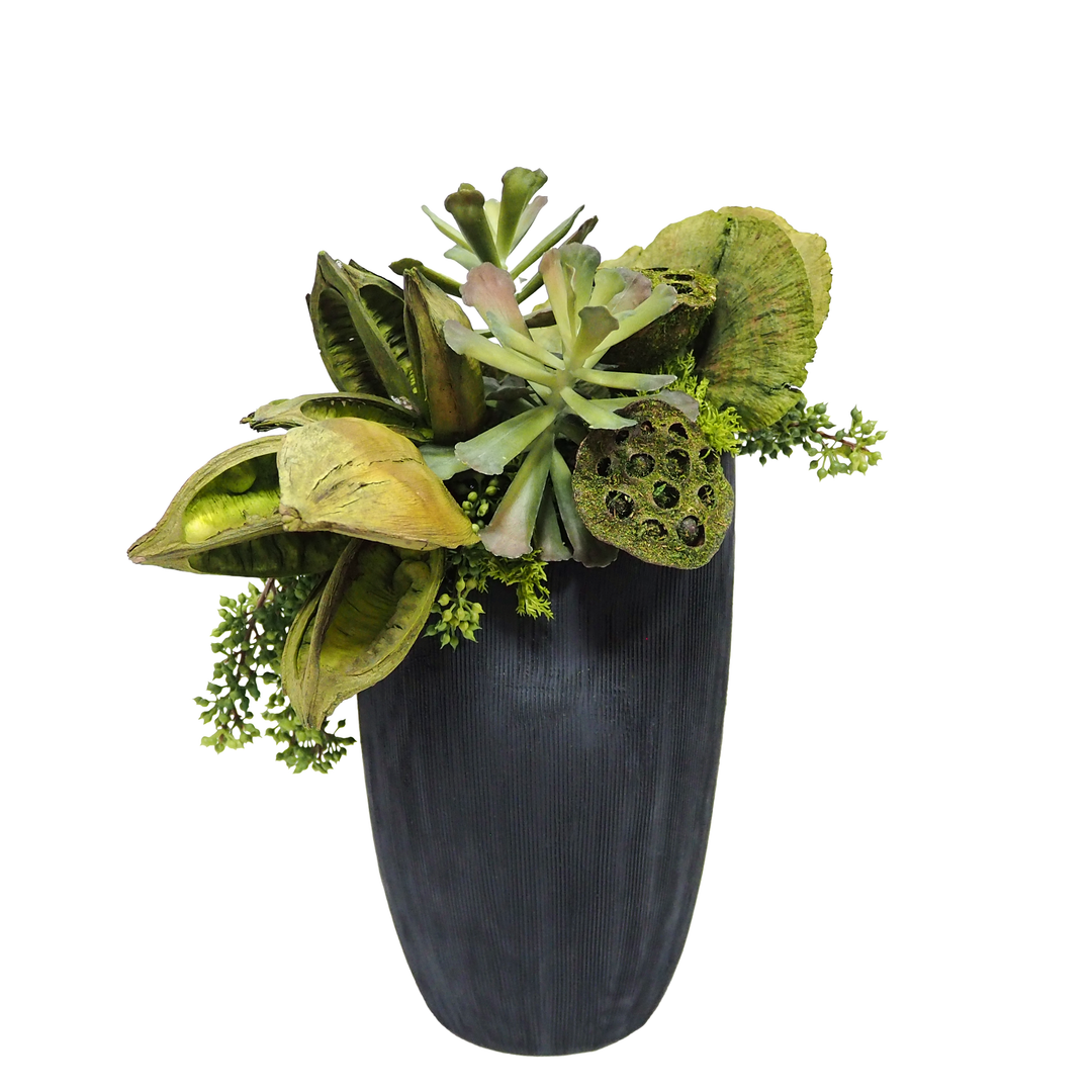 Succulents, Sora Pods and Mushrooms in Textured Ceramic Black Vase. 14"H