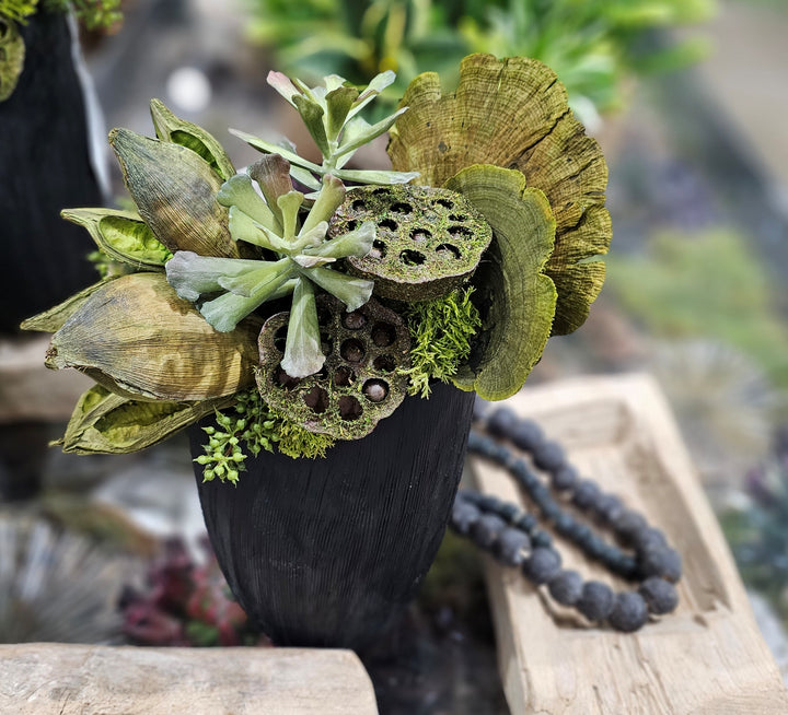 Succulents, Sora Pods and Mushrooms in Textured Ceramic Black Vase. 14"H