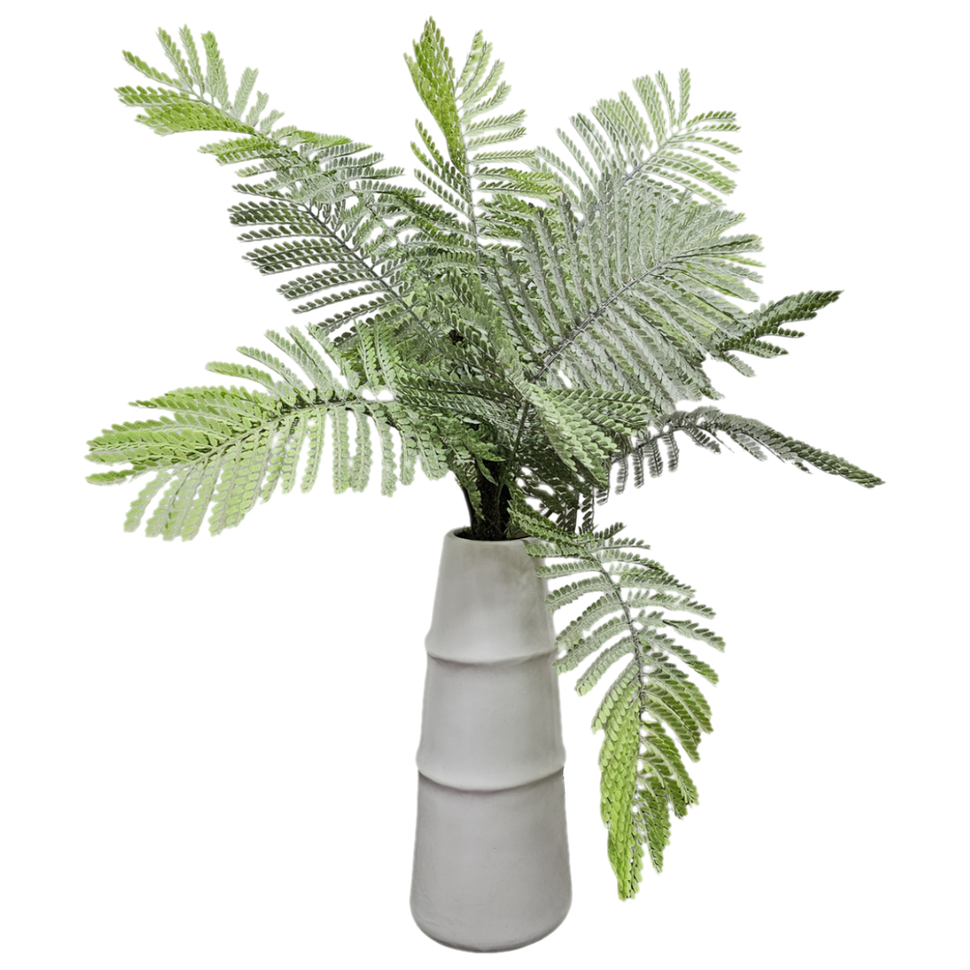 Delonix Regia Foliage in White Ceramic Vase 40"H