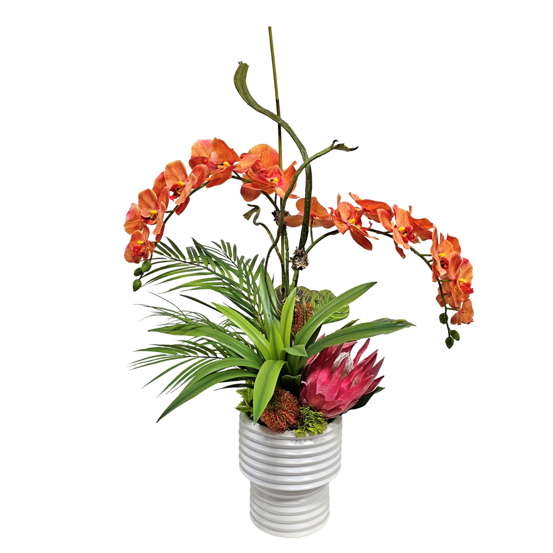 Phalaenopsis Orchids with Protea, Banksia and Tropicals. FH: 34"H