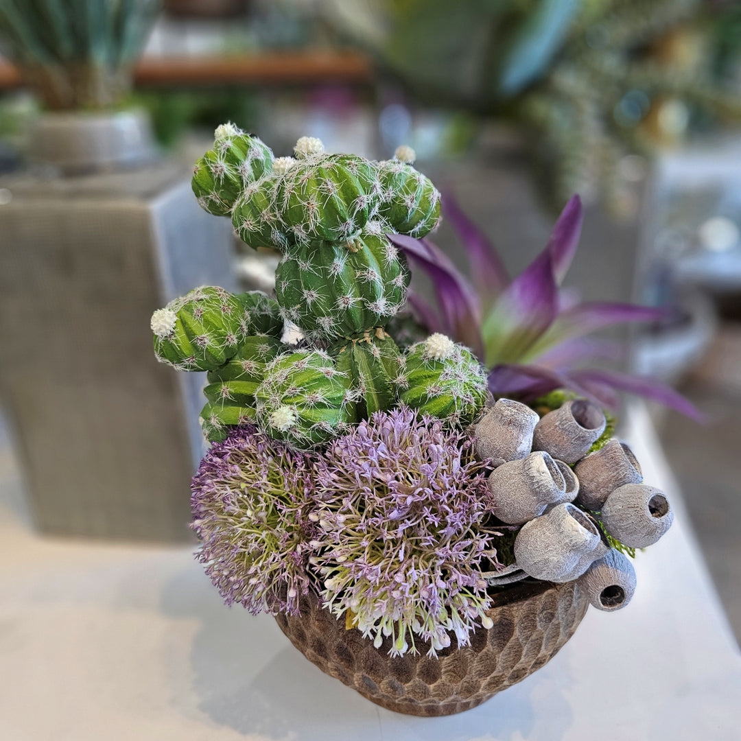 Cactus with Succulents and Pods in Carved Wood Bowl.  11"H