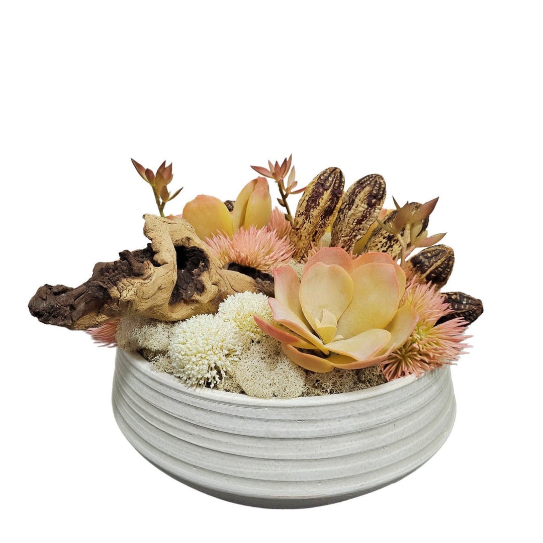 Succulents with Wood and Mahogany Pods in White Ceramic Bowl  10"H