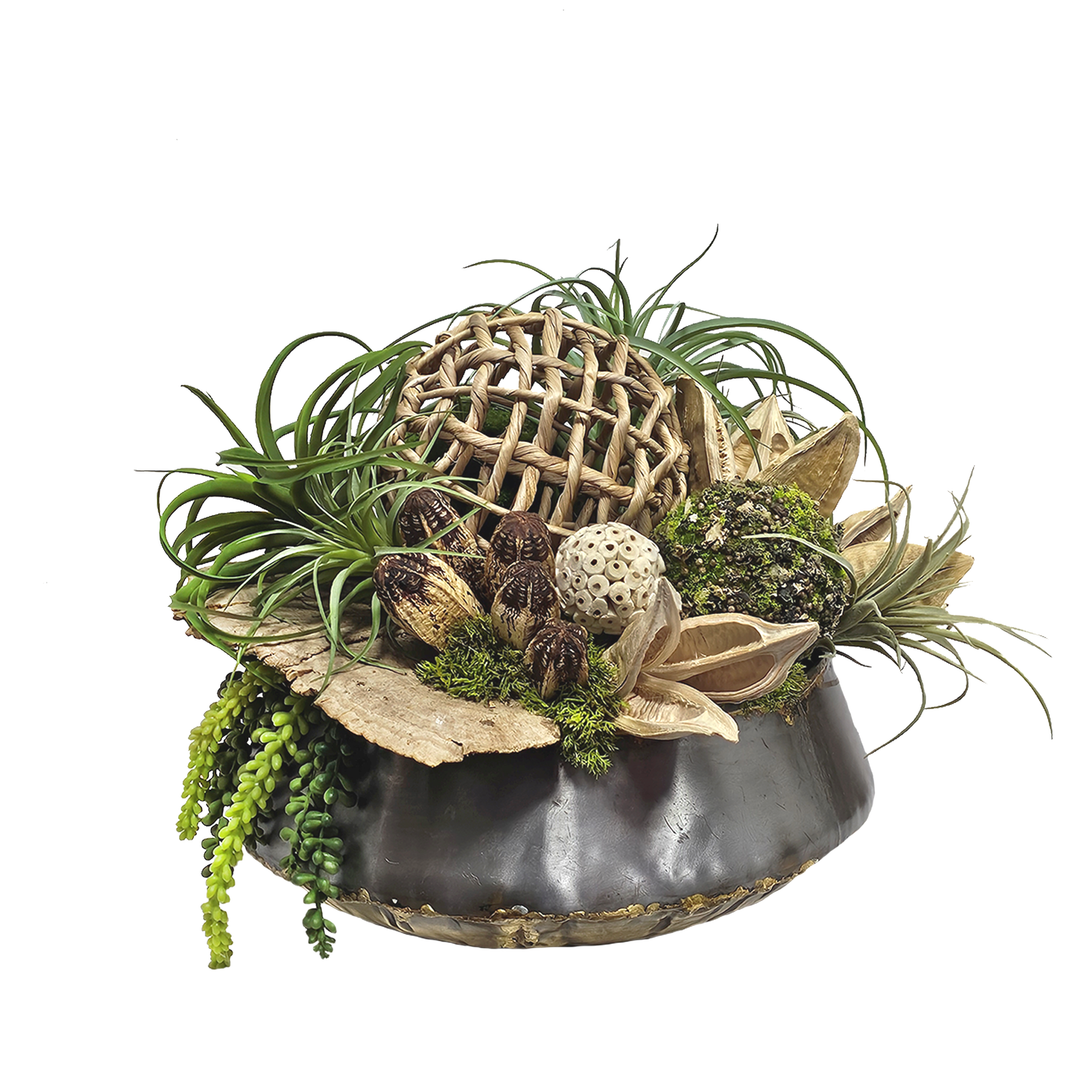 Tillandsia, Mushrooms, Sora pods, and Succulents in Metal Bowl.  FH: 14"