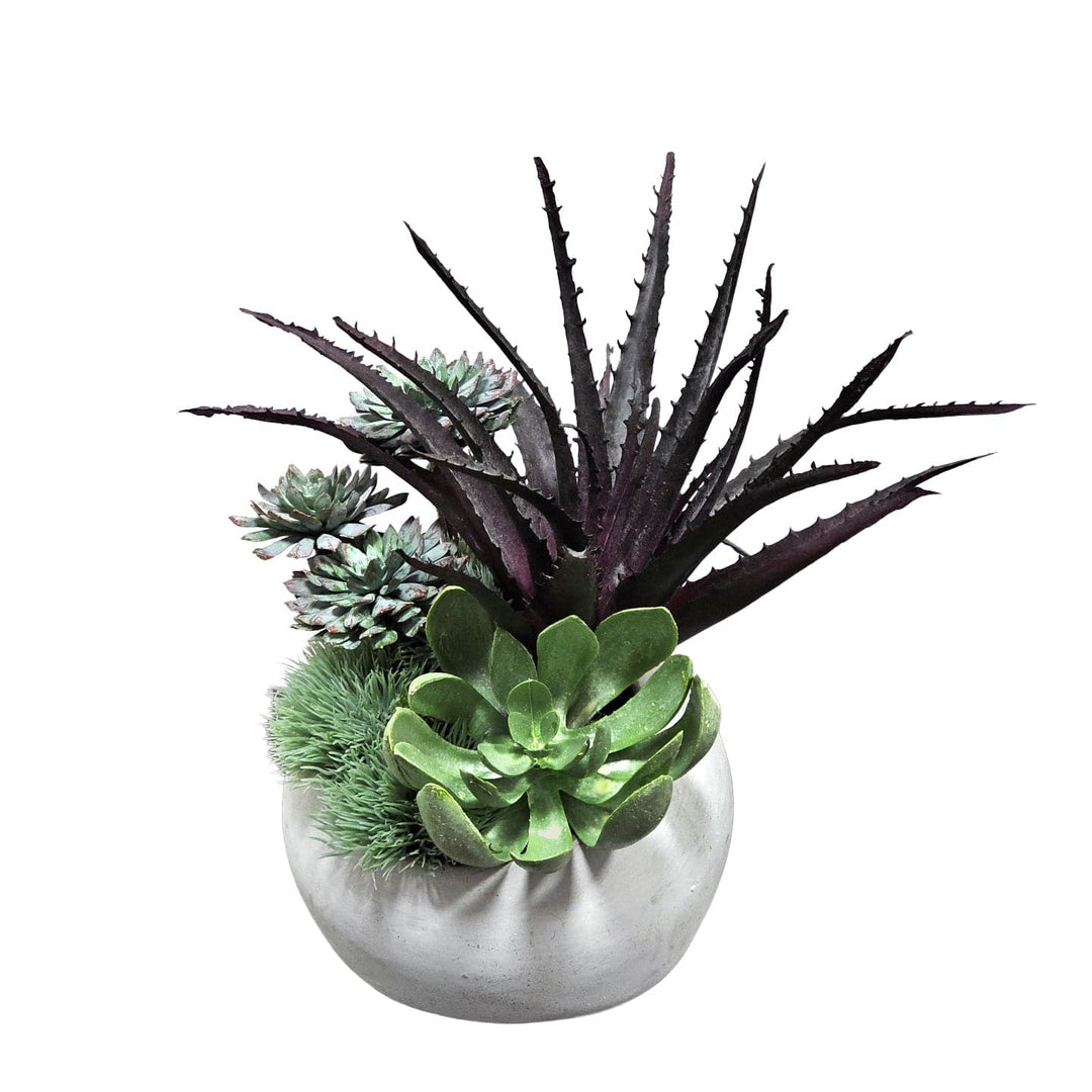 Succulents in Round Cement Container.  FH: 12"