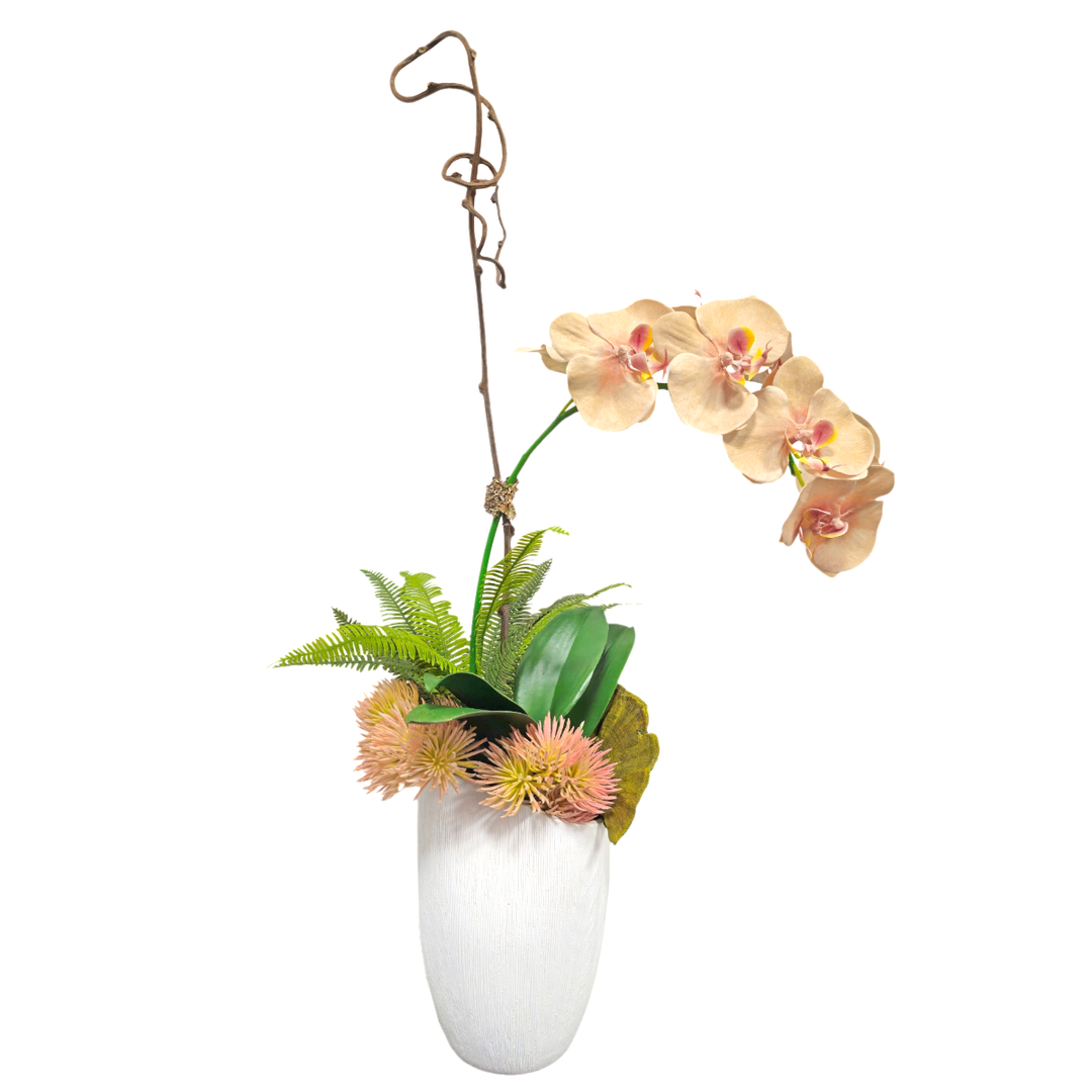 Phalaenopsis Orchid with Fern and Succulents in Textured Vase.  FH: 30"H