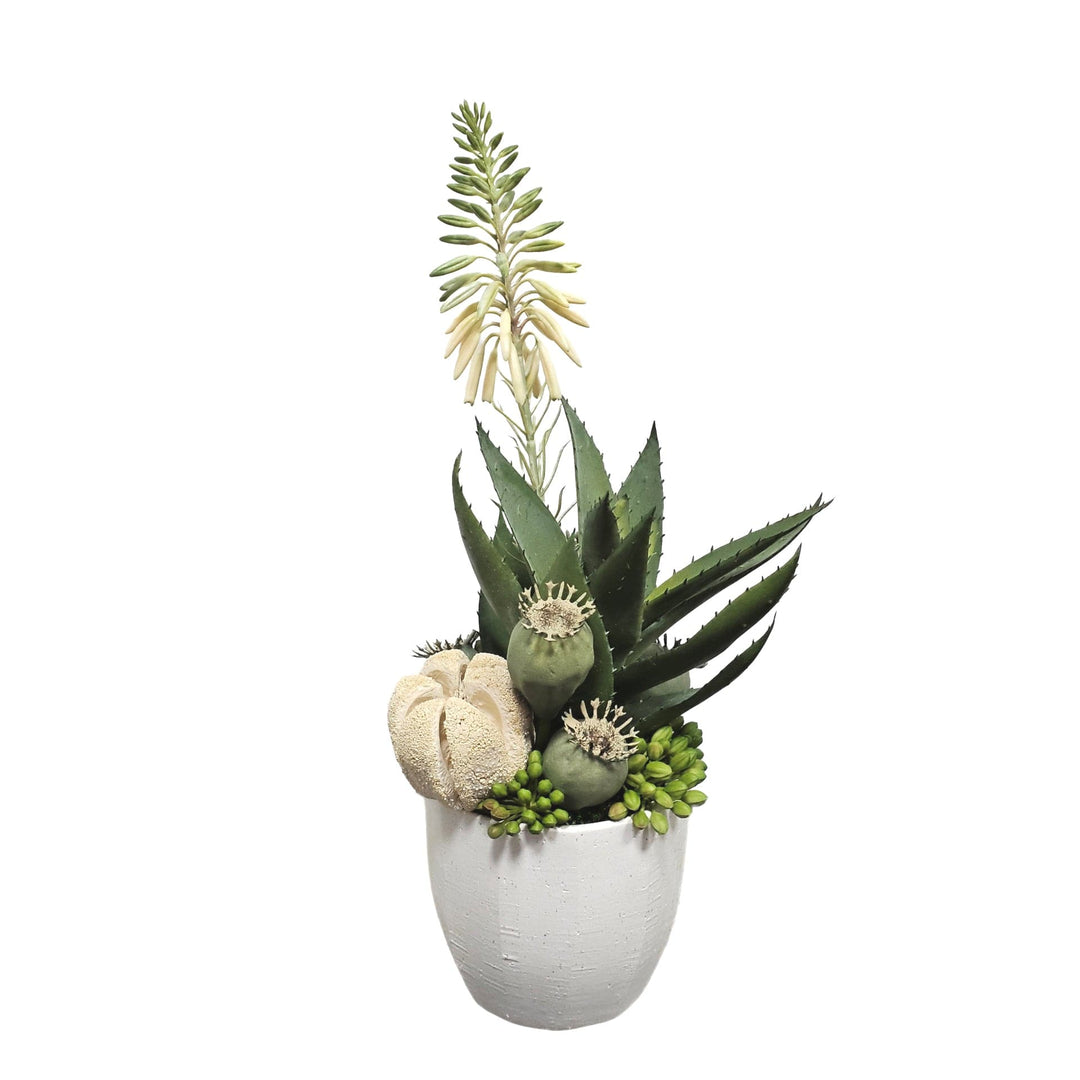 Blooming Agave with Various Pods and Sedum in Textured Pot. FH: 13"H