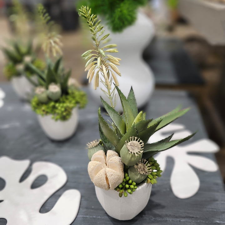 Blooming Agave with Various Pods and Sedum in Textured Pot. FH: 13"H