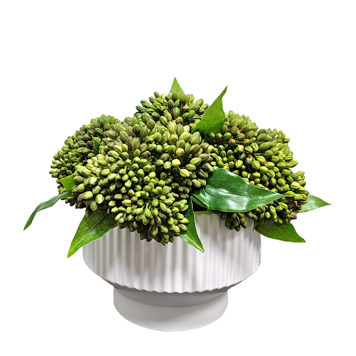 Sedum in Fluted Ceramic Bowl. FH:  10"H