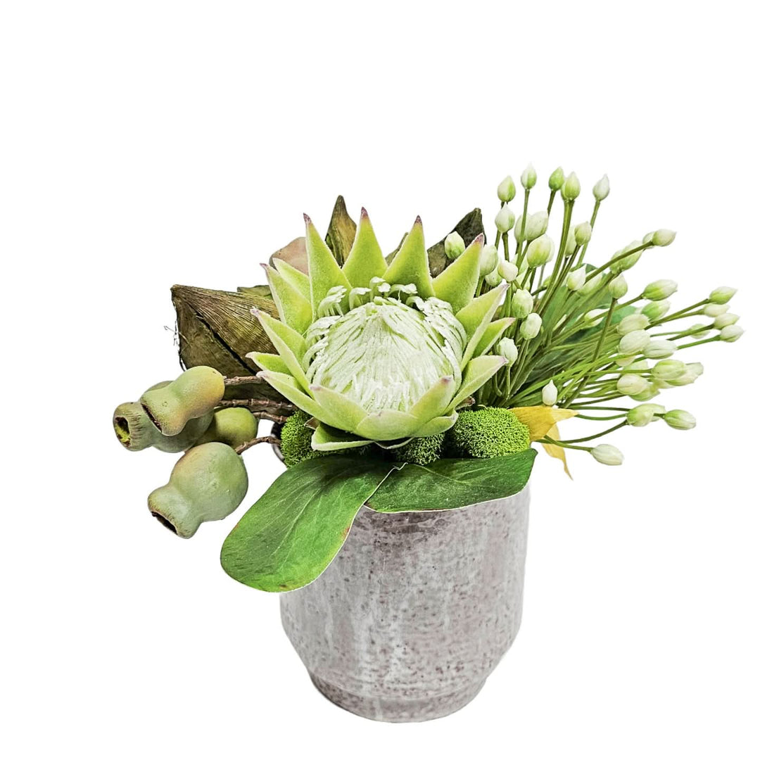 Protea, Allium, Sora and Green Pods in Glazed Grey Ceramic 10.5"H