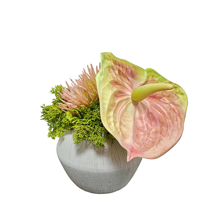 Anthurium in Textured Ceramic.  FH: 6"