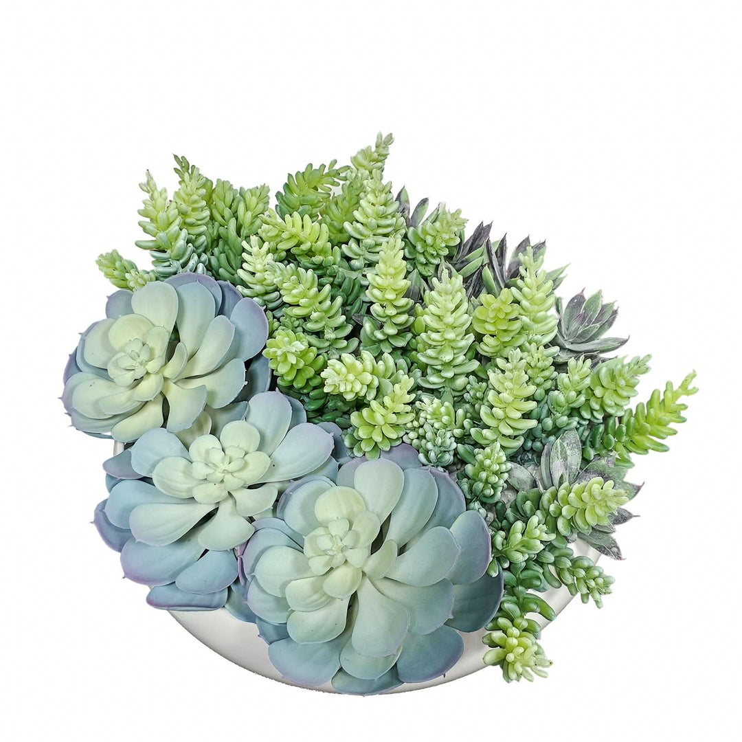 Succulents in Round Ceramic Bowl. FH:7"