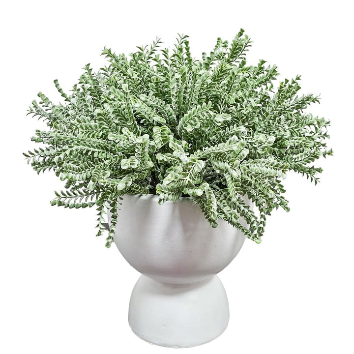 Sage Succulent in Round Matte Terra Cotta Container. FH:17.5"