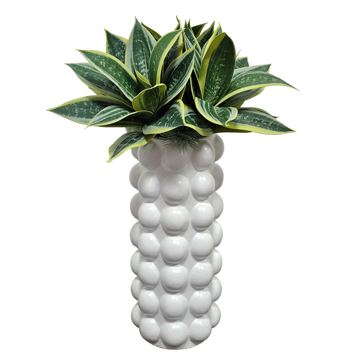 Sanseveria in Textured Ball Cylinder Vase. FH: 18"