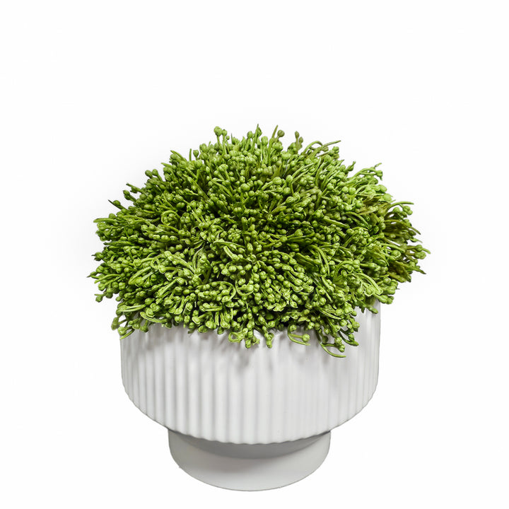 Sedum in Textured Round Footed Bowl.  FH:9"