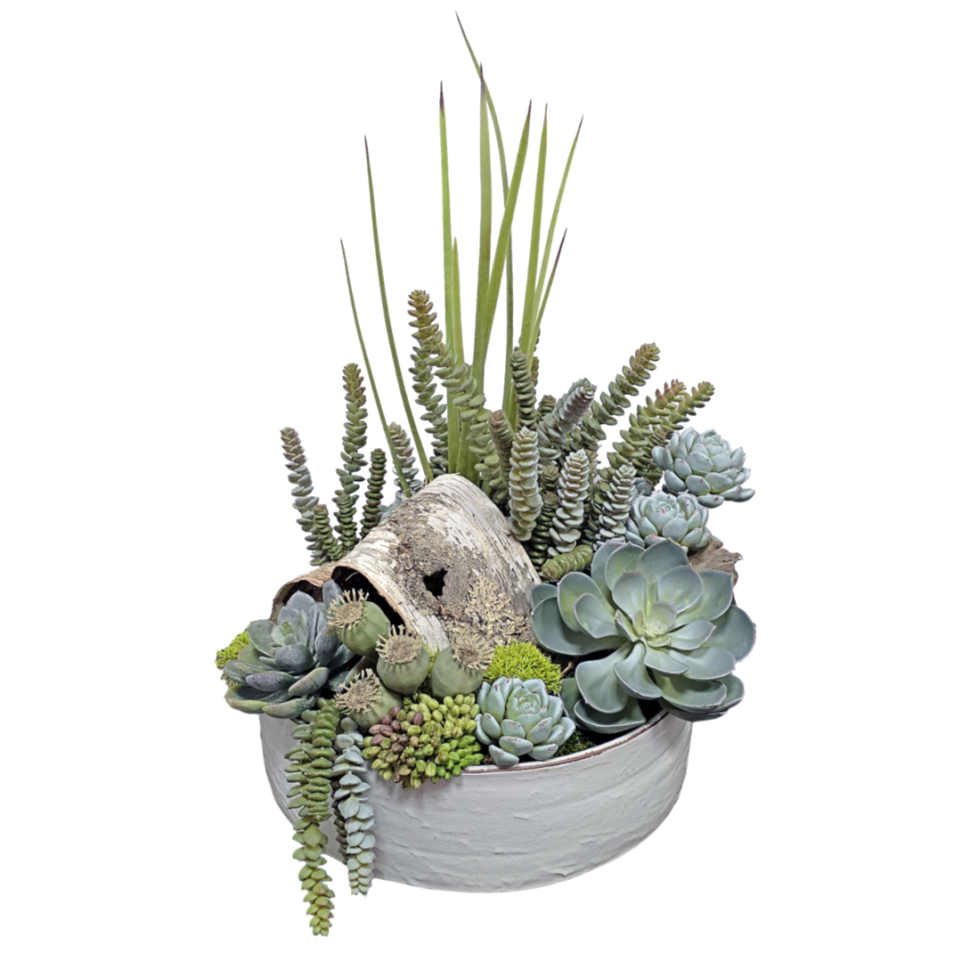 Succulents with Natural Birch Bark in Ceramic Bowl. FH:20"