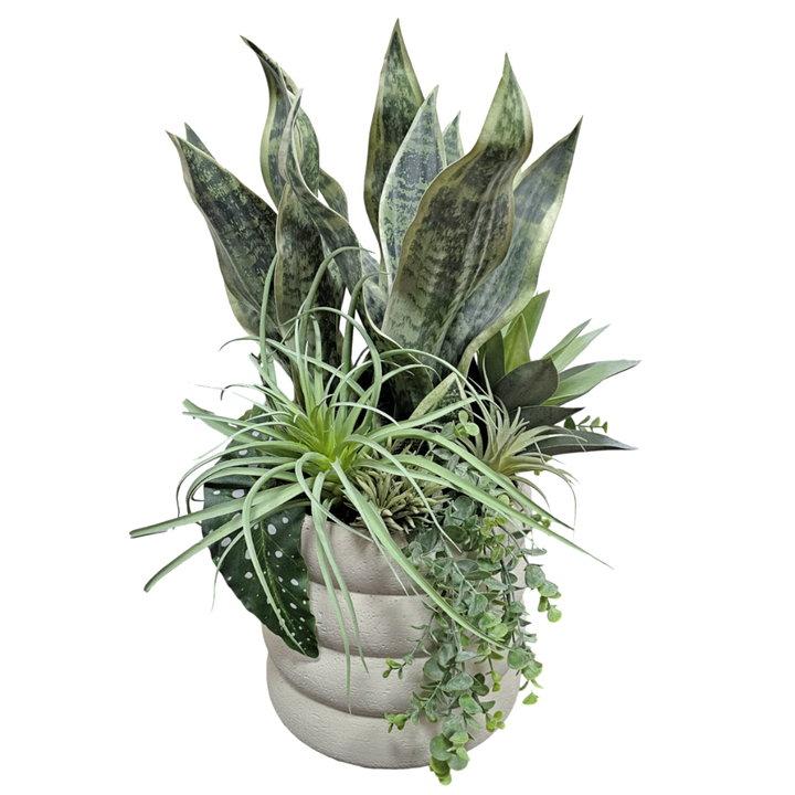 Sansevieria, Tillandsia and Hanging Succulents in Layered Ceramic. 24"H