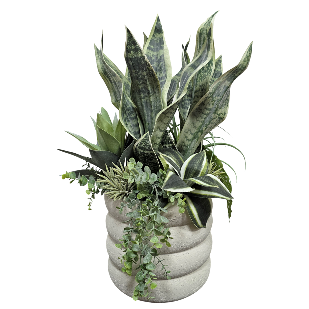 Sansevieria, Tillandsia and Hanging Succulents in Layered Ceramic. 24"H