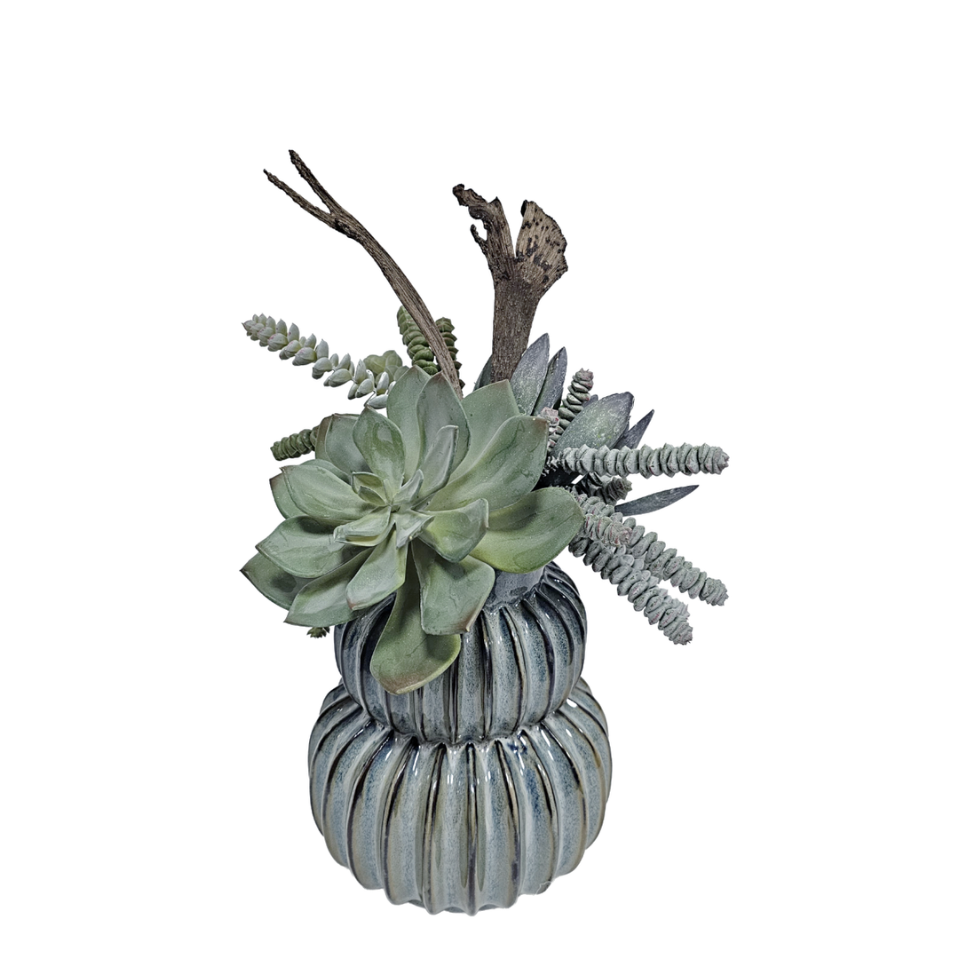 Succulents with Staghorn Fern in Ceramic  FH: 15"