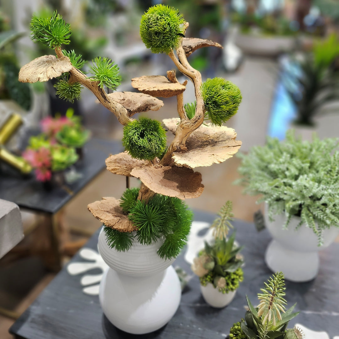 Manzanita Wood with Spheres and Mushrooms in Ceramic Vase. FH: 30"H