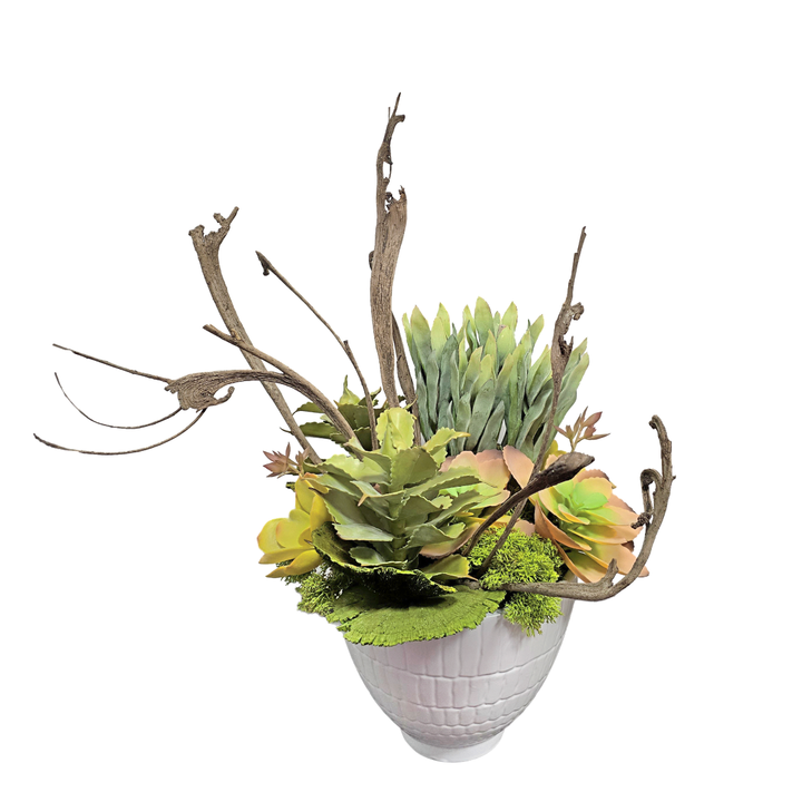 Succulents, Protea Bud, Dried Mushrooms and Natraj Wood Stem in Textured Ceramic. 28"H