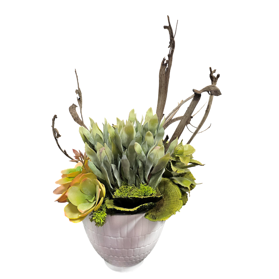 Succulents, Protea Bud, Dried Mushrooms and Natraj Wood Stem in Textured Ceramic. 28"H