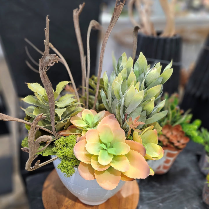 Succulents, Protea Bud, Dried Mushrooms and Natraj Wood Stem in Textured Ceramic. 28"H