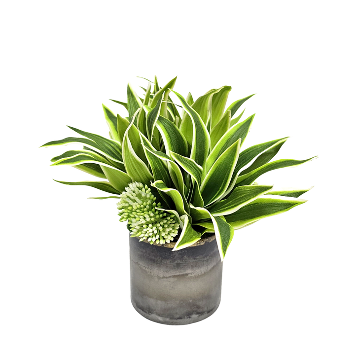 Succulent in Gunmetal. FH: 8"H