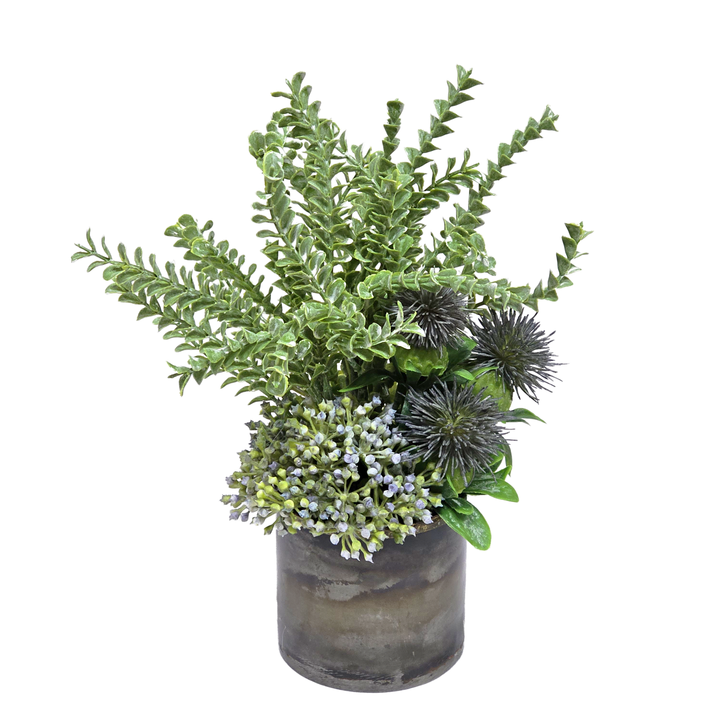 Sedum, Thistle and Moss Grass in Gunmetal.  FH: 7"