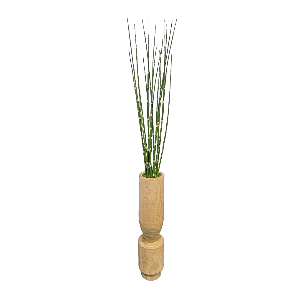 Horsetail Reed in Wood Vase. FH: 56"H