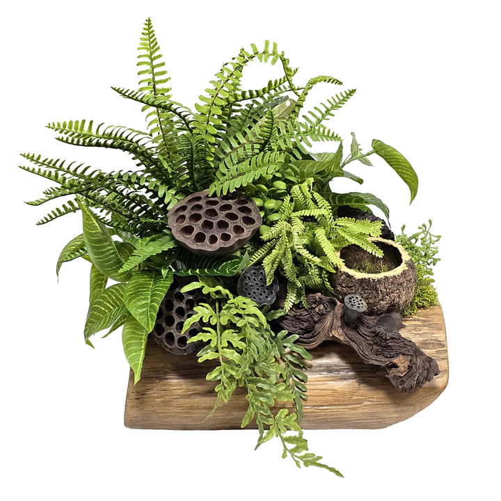 Ferns with Dried Lotus Pods and Wood Fragment in Wood Container 16"H