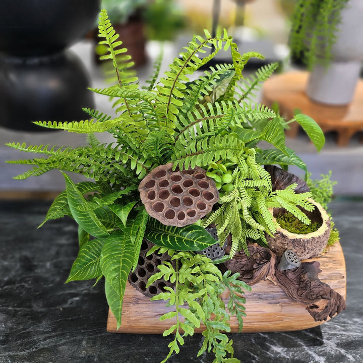 Ferns with Dried Lotus Pods and Wood Fragment in Wood Container 16"H