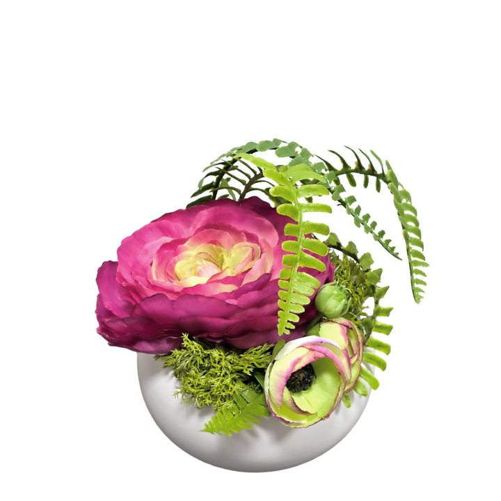 Fuchsia Ranunculus with Fern in White Ceramic Bowl  7"H