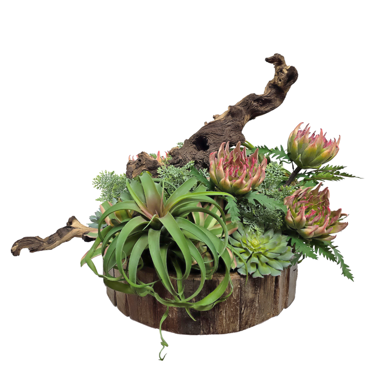 Tillandsia and Succulents with Wood Fragment in Wood Bowl 21"H