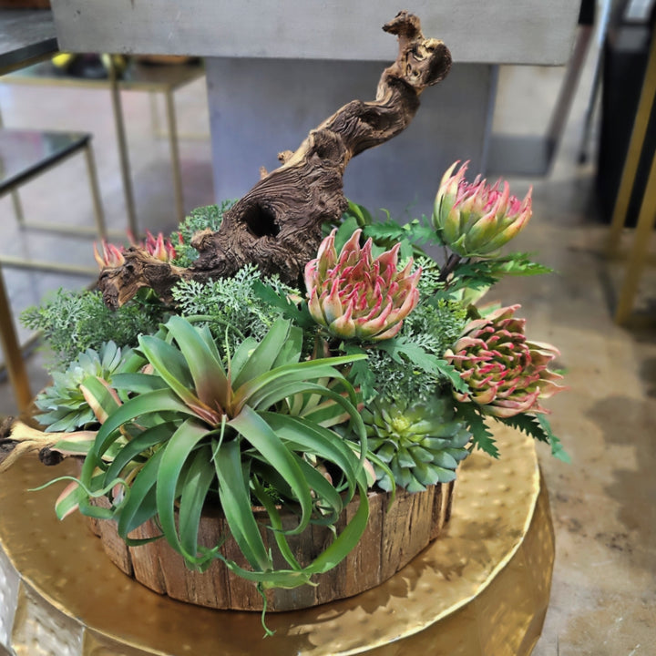 Tillandsia and Succulents with Wood Fragment in Wood Bowl 21"H