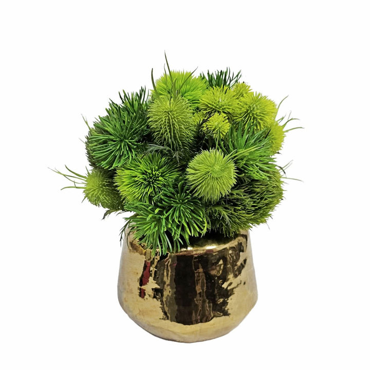 Green Dianthus, Allium and Thistle in Glazed Gold Ceramic Vase 10.5"H