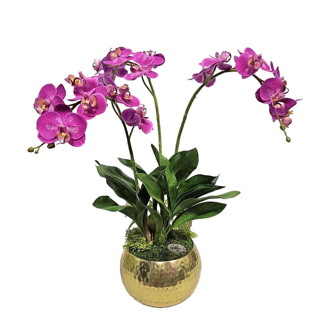 Phalaenopsis Orchids with Leaves and Pyrite in Hammered Metal Bowl 20"H