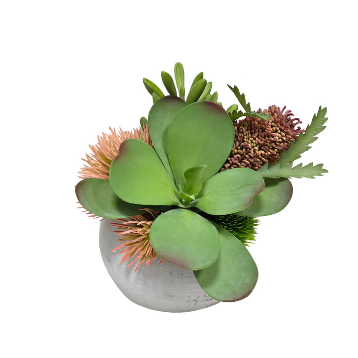 Kalanchoe, Banksia and Thistle in Concrete Sphere 8.5"H