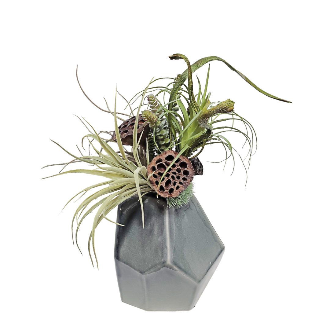 Tillandsia, Burro's Tail, Dried Lotus Pods and Staghorn Fern in Glazed Geometric Gray Ceramic 18"H